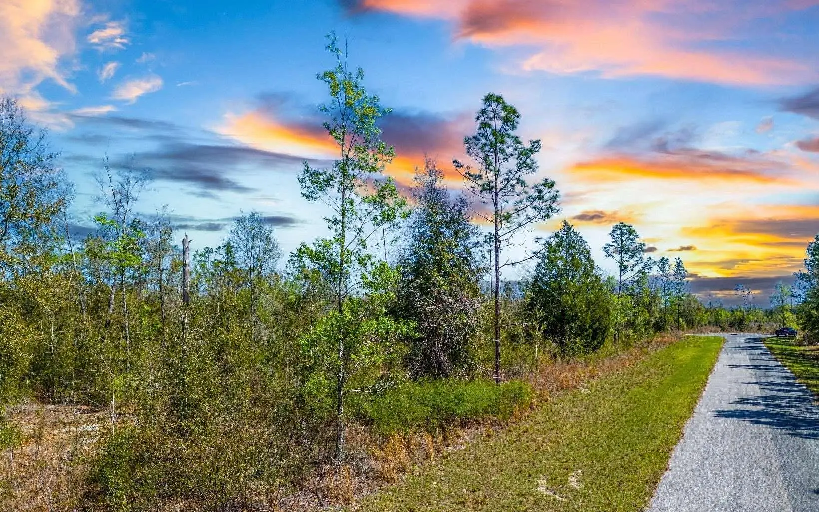 Buying Your Forever Land in Florida: Why More Families Are Purchasing Before Retirement