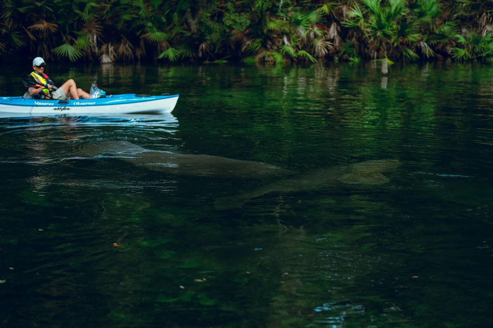 Canoeing the clear spring-fed water near Blue Springs Ranch