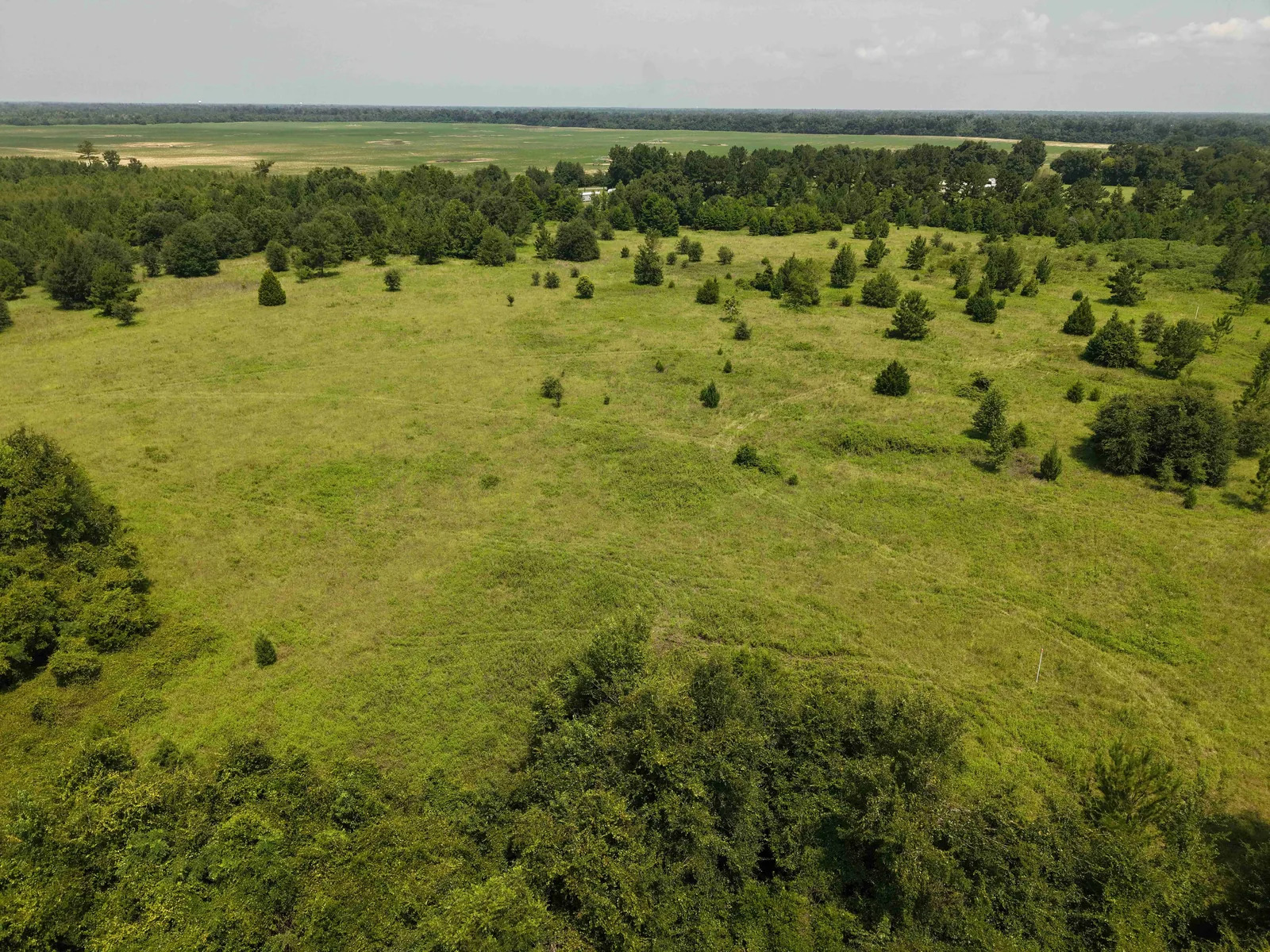 Aerial drone view of an open pasture homesite tract at Blue Springs Ranch
