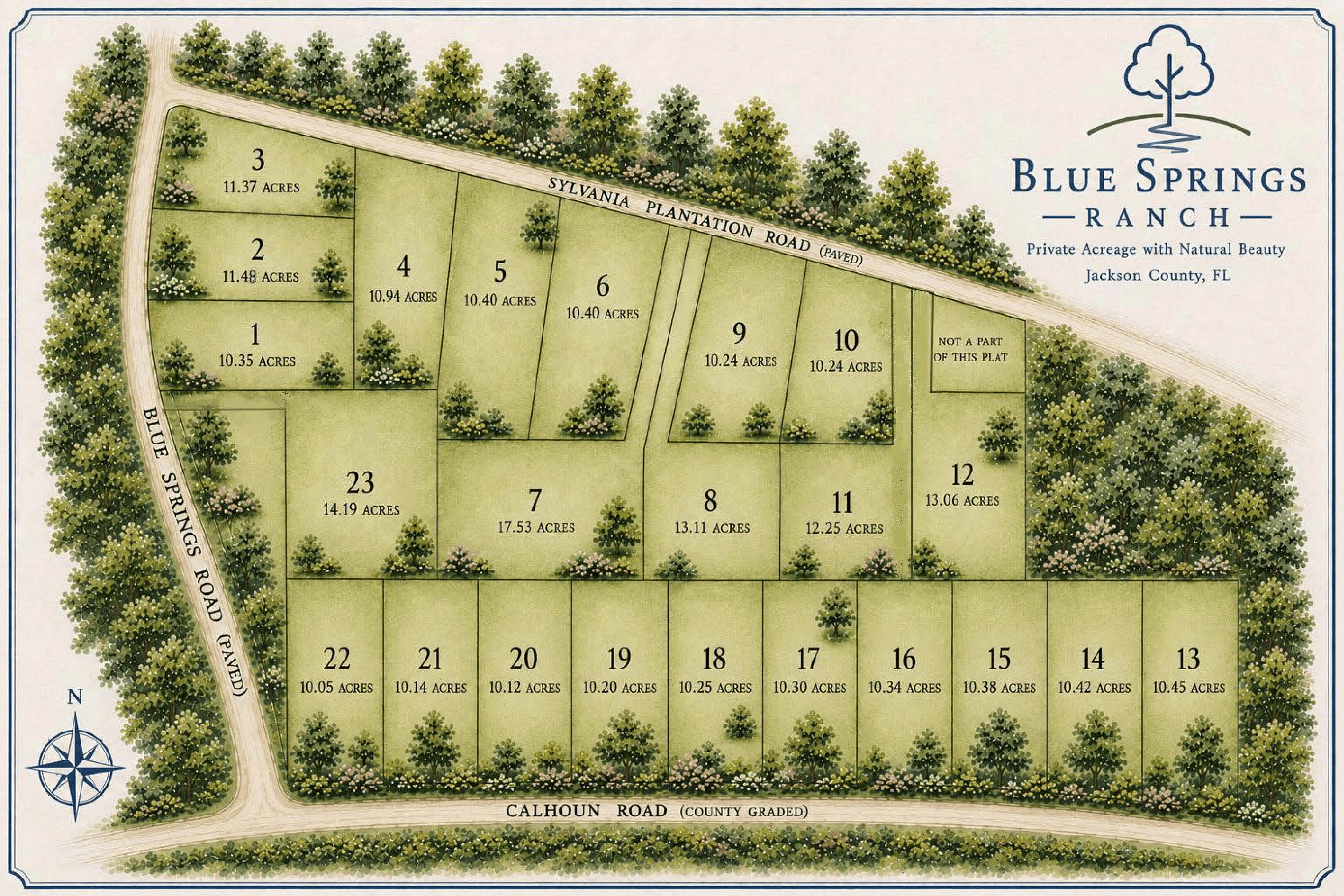 How the Blue Springs Ranch Presale Works