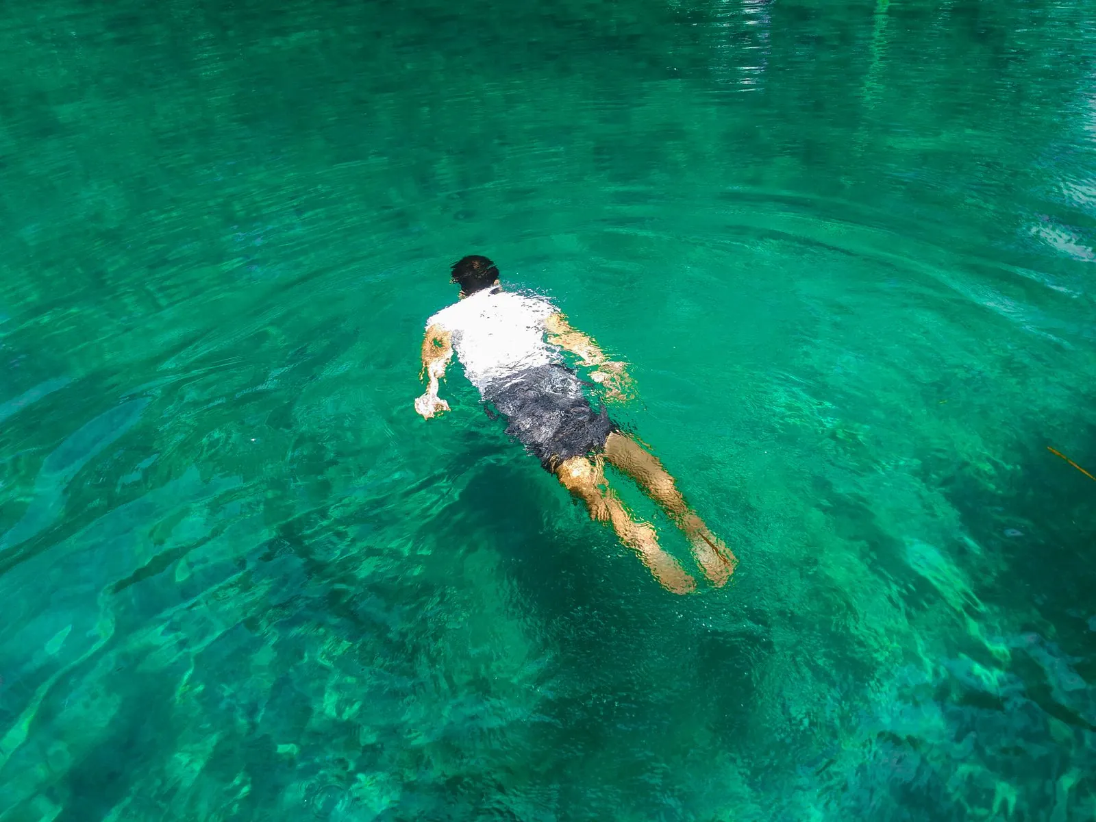 Swimming in the crystal clear water of the Blue Springs Recreational Area