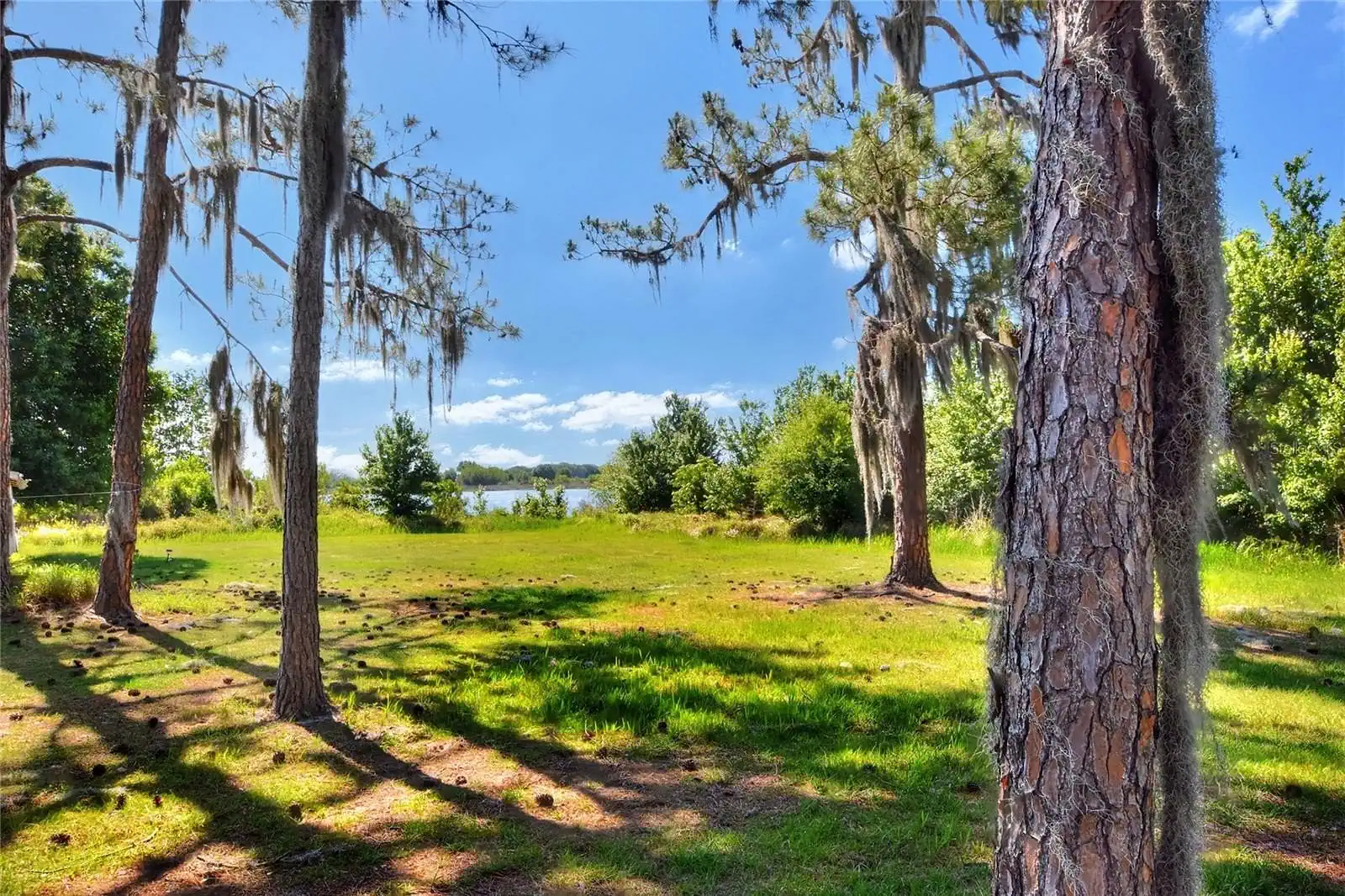 A Westshore Land Sales property in Florida