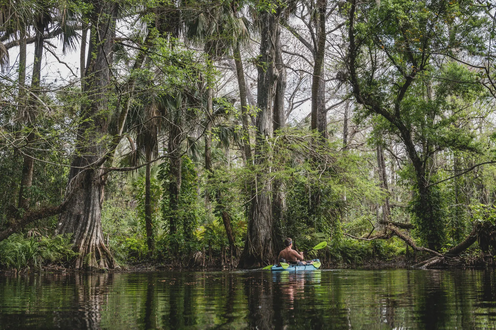 Outdoor property in Florida — kayaking a quiet river beneath the tree canopy
