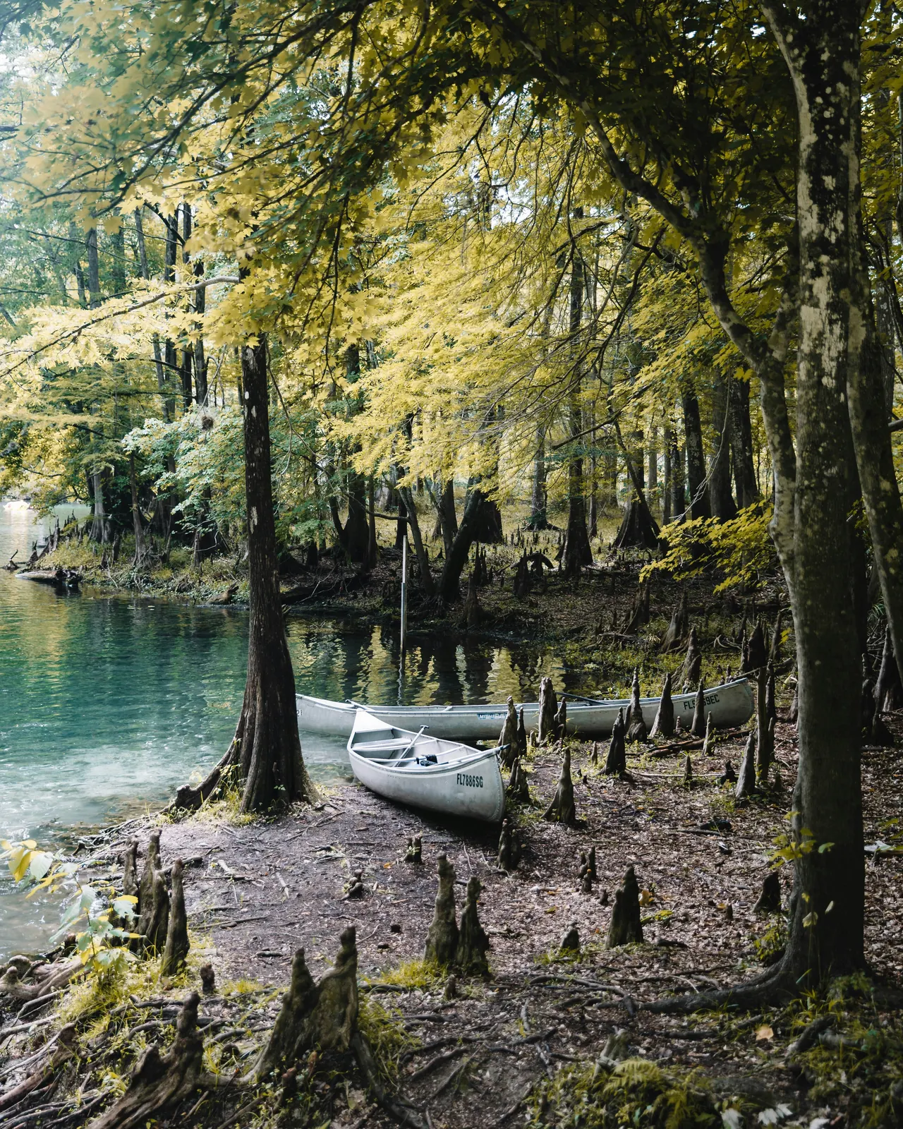 Recreational property in Florida — canoes resting on the bank of a spring-fed river